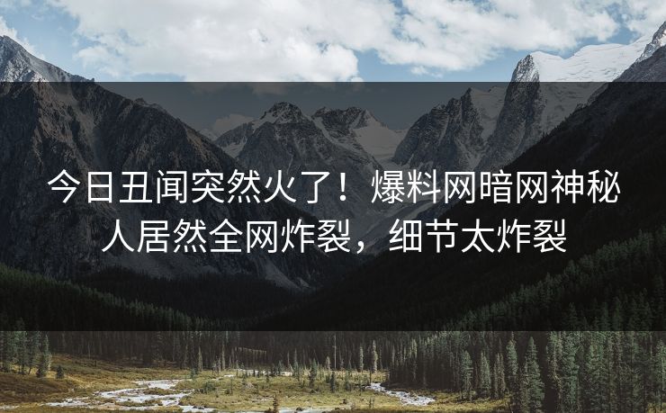 今日丑闻突然火了!爆料网暗网神秘人居然全网炸裂,细节太炸裂