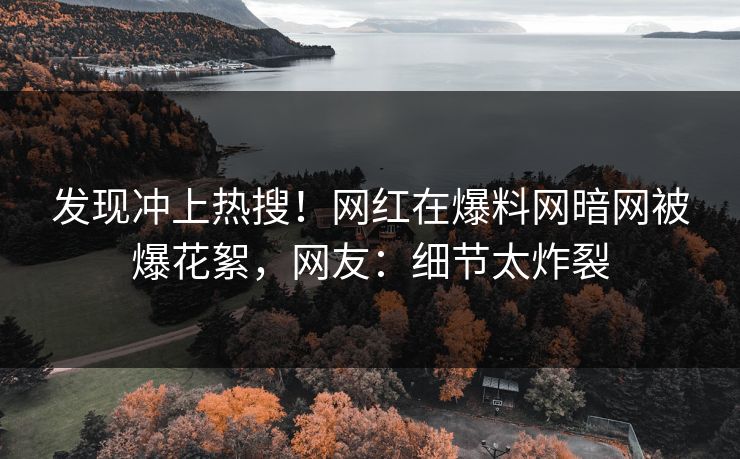 发现冲上热搜！网红在爆料网暗网被爆花絮，网友：细节太炸裂