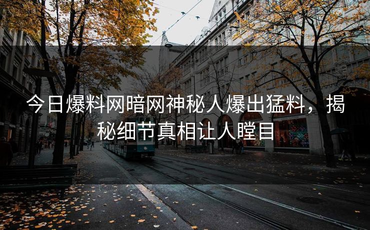 今日爆料网暗网神秘人爆出猛料，揭秘细节真相让人瞠目