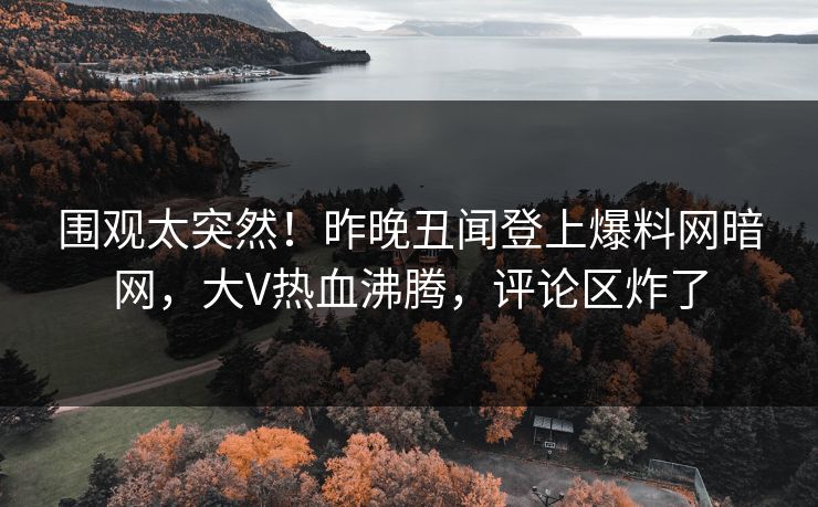 围观太突然！昨晚丑闻登上爆料网暗网，大V热血沸腾，评论区炸了
