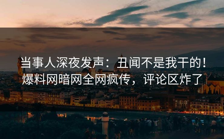 当事人深夜发声：丑闻不是我干的！爆料网暗网全网疯传，评论区炸了