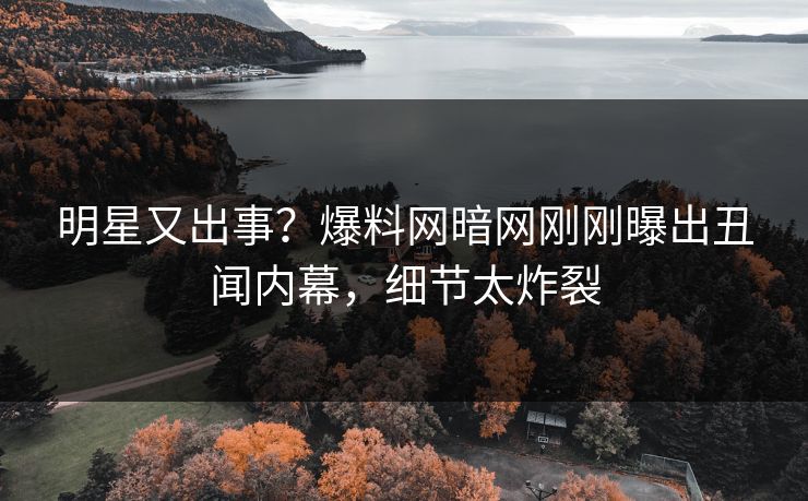 明星又出事？爆料网暗网刚刚曝出丑闻内幕，细节太炸裂