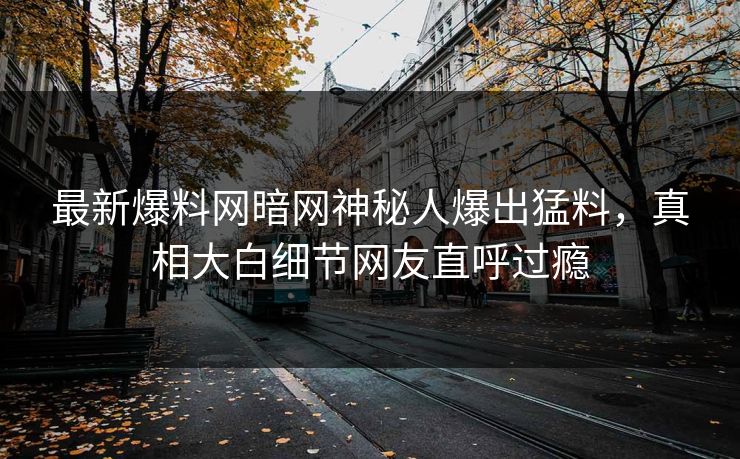 最新爆料网暗网神秘人爆出猛料,真相大白细节网友直呼过瘾