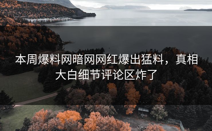 本周爆料网暗网网红爆出猛料,真相大白细节评论区炸了