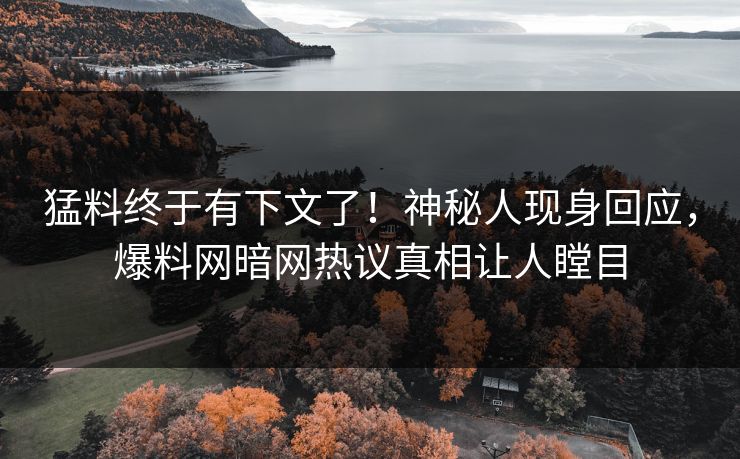 猛料终于有下文了!神秘人现身回应,爆料网暗网热议真相让人瞠目