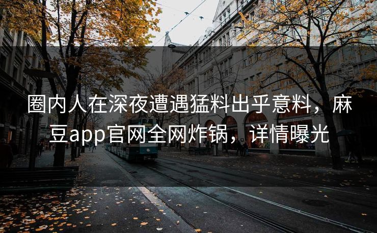 圈内人在深夜遭遇猛料出乎意料，麻豆app官网全网炸锅，详情曝光
